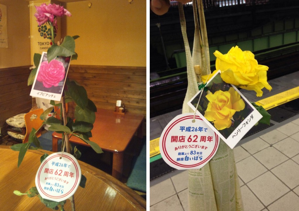 白いばらヘンリーフォンダ②