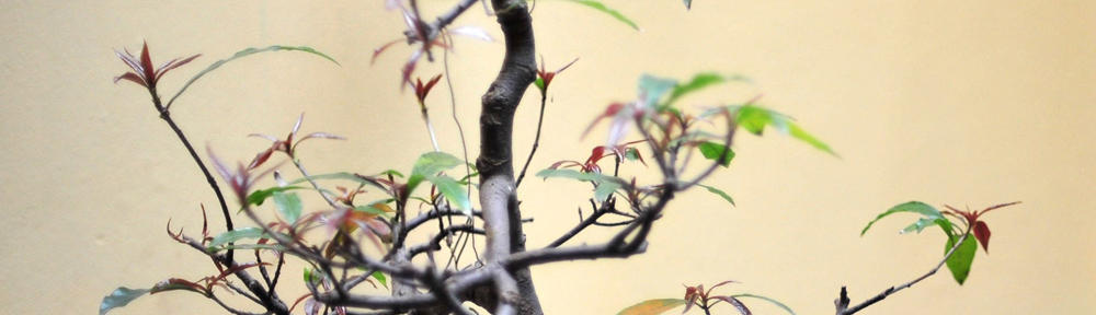 銀座クラブねっとのブログ